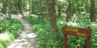 Day 207 in the Year of the Healthy Child - Why green spaces are good for your kid’s brain